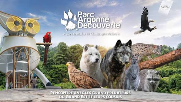 images (4)