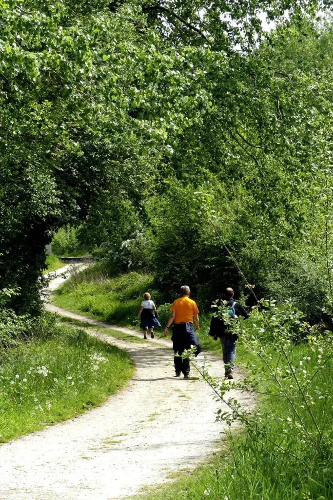 sud ardennes randonnee foret marche 1024x1536